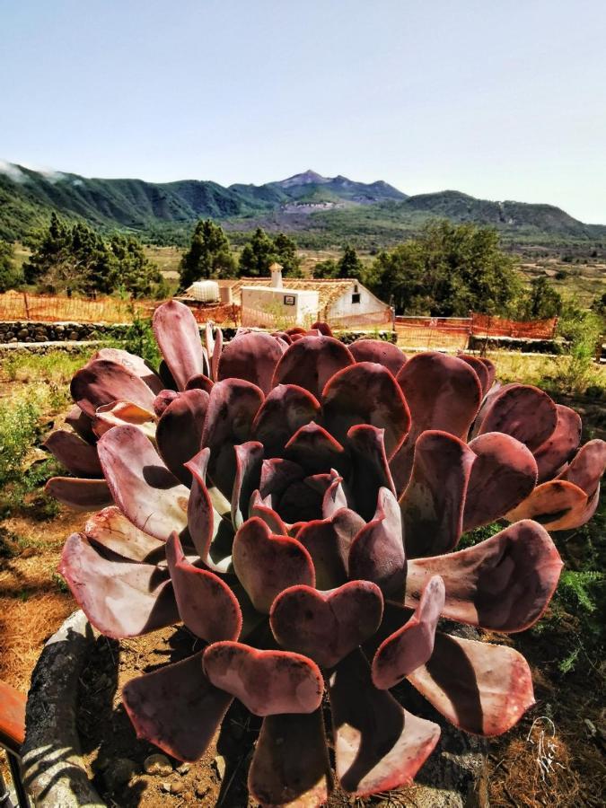 Evas Haus Leilighet Santa Cruz de la Palma  Eksteriør bilde